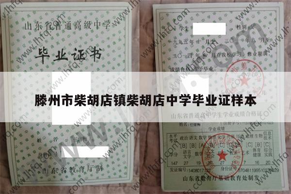 滕州市柴胡店镇柴胡店中学毕业证样本