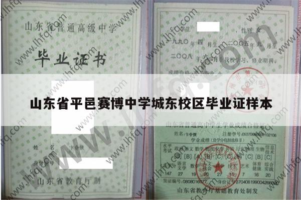 山东省平邑赛博中学城东校区毕业证样本