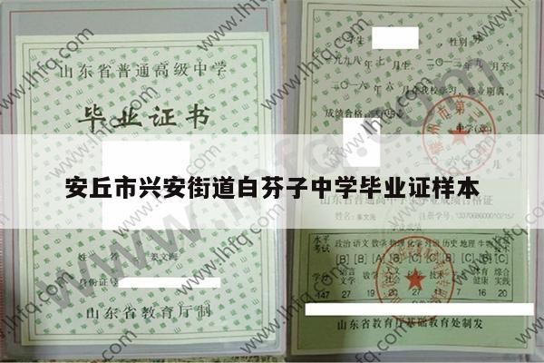 安丘市兴安街道白芬子中学毕业证样本