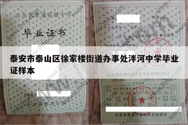 泰安市泰山区徐家楼街道办事处泮河中学毕业证样本