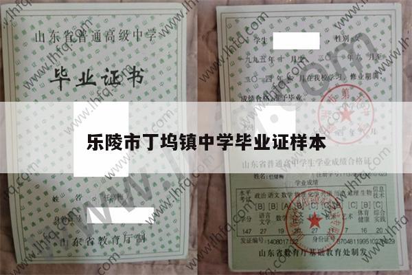 乐陵市丁坞镇中学毕业证样本