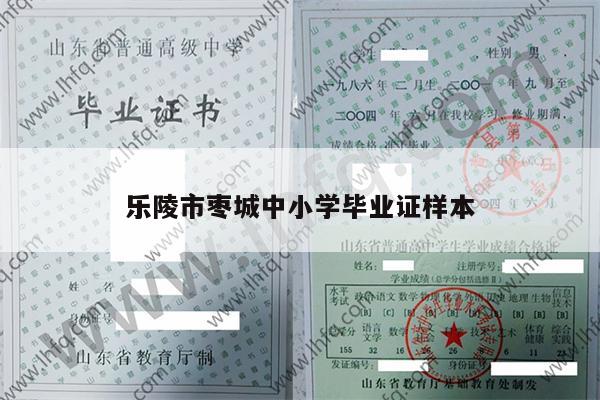 乐陵市枣城中小学毕业证样本