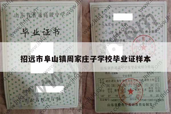 招远市阜山镇周家庄子学校毕业证样本