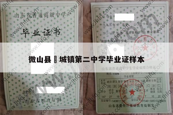 微山县驩城镇第二中学毕业证样本
