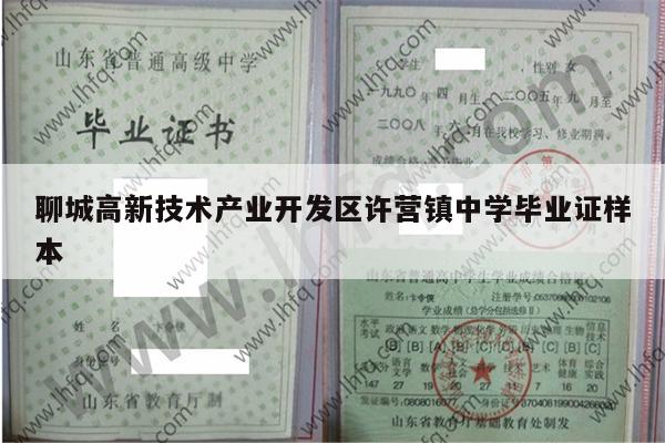 聊城高新技术产业开发区许营镇中学毕业证样本