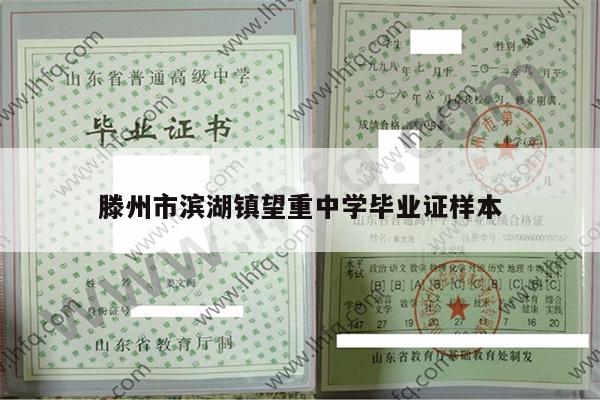 滕州市滨湖镇望重中学毕业证样本