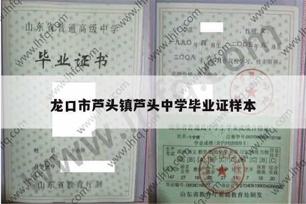龙口市芦头镇芦头中学毕业证样本