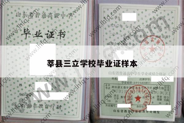 莘县三立学校毕业证样本