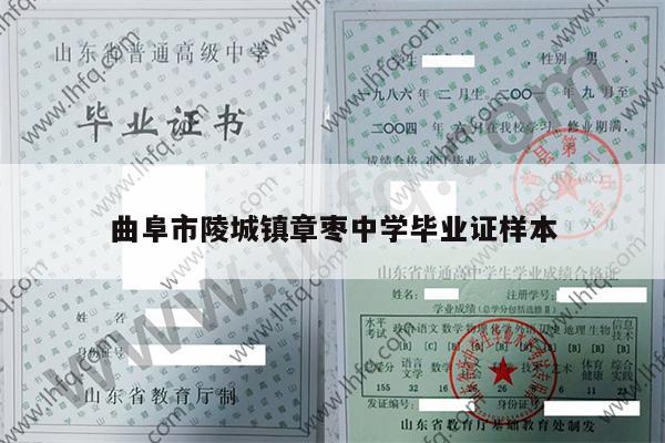 曲阜市陵城镇章枣中学毕业证样本