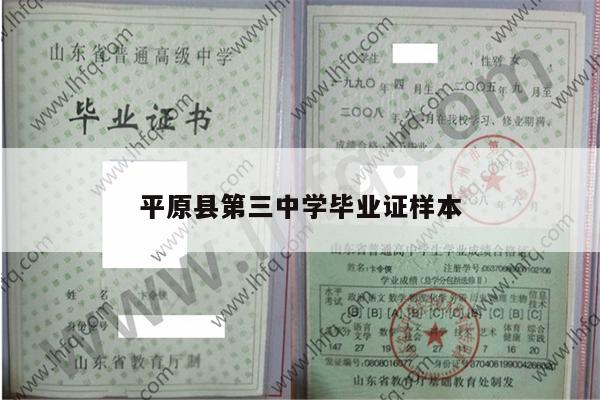 平原县第三中学毕业证样本