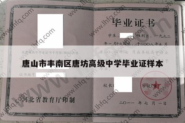 唐山市丰南区唐坊高级中学毕业证样本