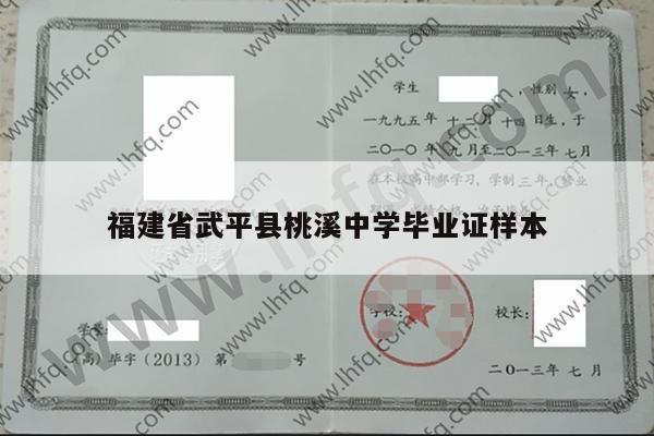 福建省武平县桃溪中学毕业证样本