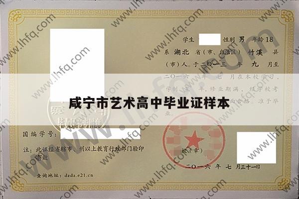 咸宁市艺术高中毕业证样本