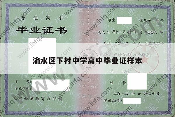 渝水区下村中学高中毕业证样本