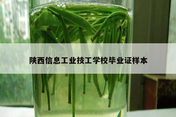 陕西信息工业技工学校毕业证样本