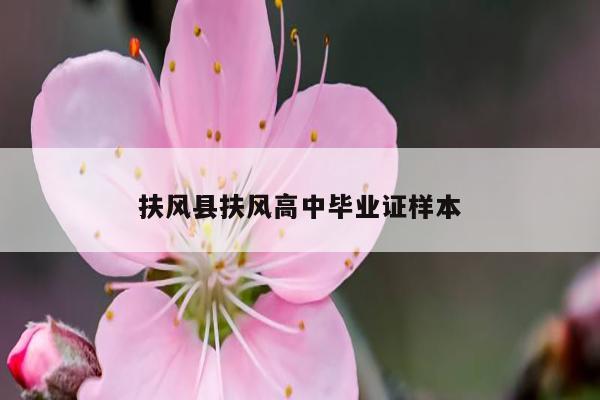 扶风县扶风高中毕业证样本