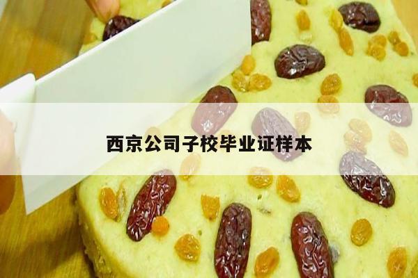 西京公司子校毕业证样本