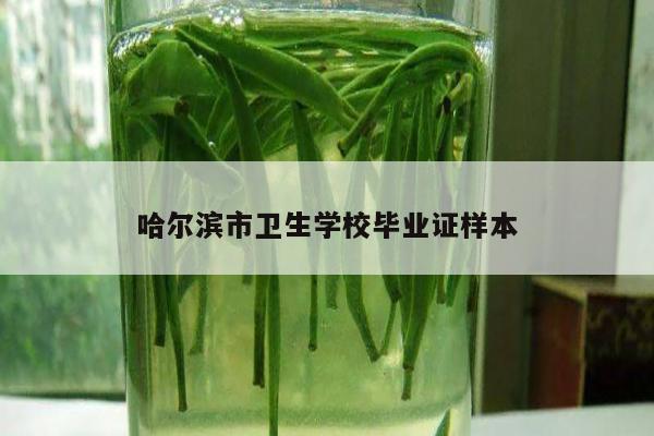哈尔滨市卫生学校毕业证样本