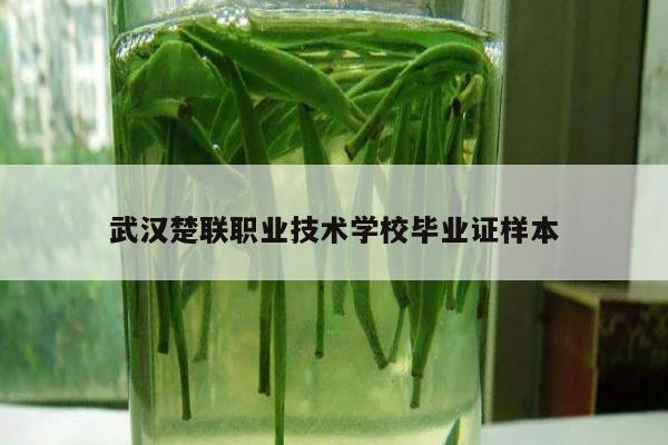 武汉楚联职业技术学校毕业证样本