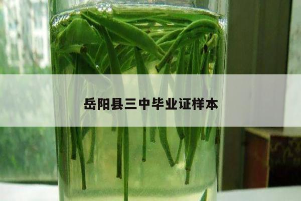 岳阳县三中毕业证样本