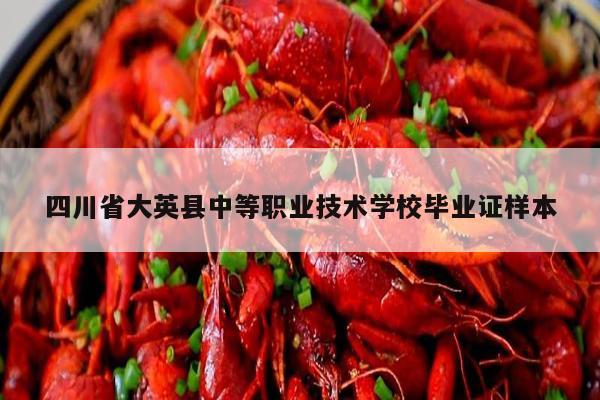 四川省大英县中等职业技术学校毕业证样本