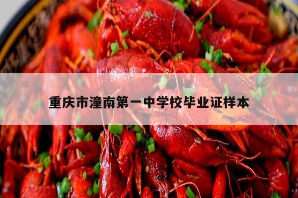 重庆市潼南第一中学校毕业证样本