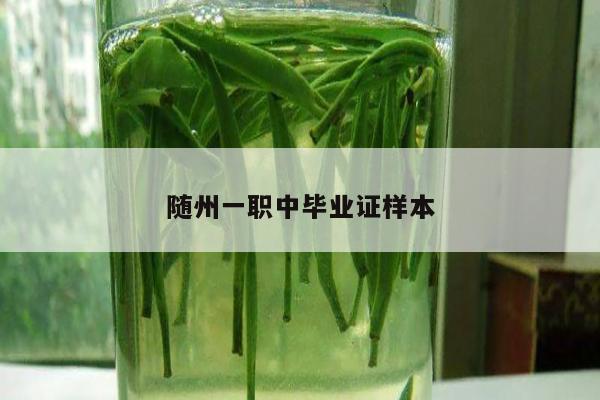随州一职中毕业证样本