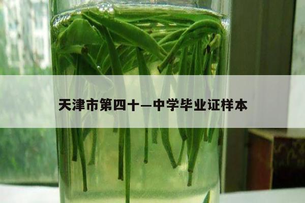 天津市第四十—中学毕业证样本