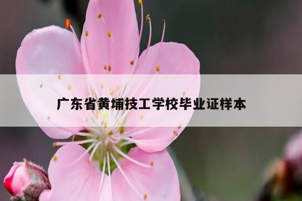 广东省黄埔技工学校毕业证样本