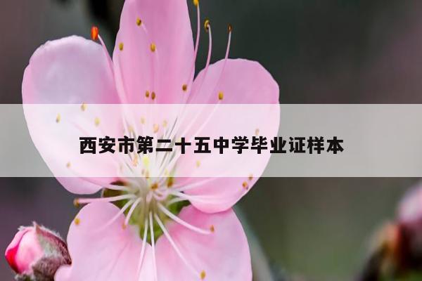 西安市第二十五中学毕业证样本
