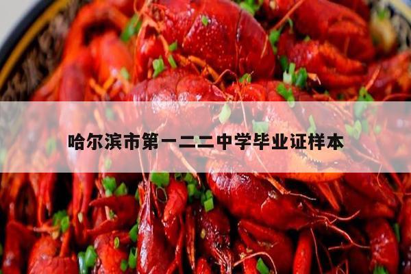 哈尔滨市第一二二中学毕业证样本