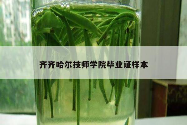 齐齐哈尔技师学院毕业证样本
