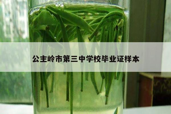 公主岭市第三中学校毕业证样本