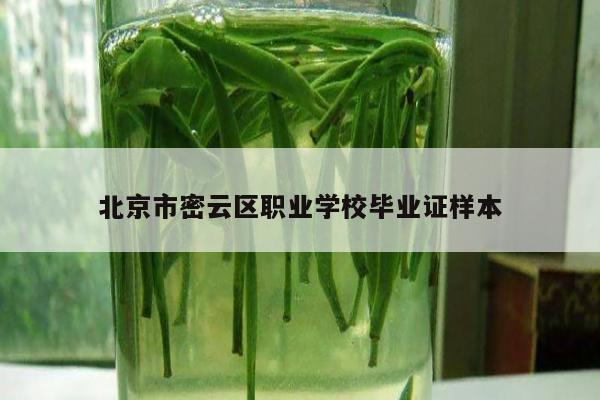 北京市密云区职业学校毕业证样本
