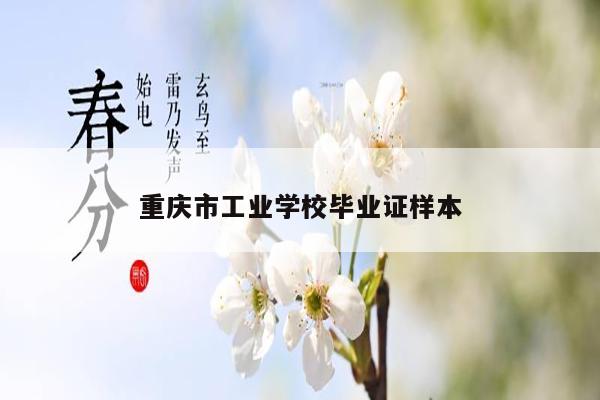 重庆市工业学校毕业证样本