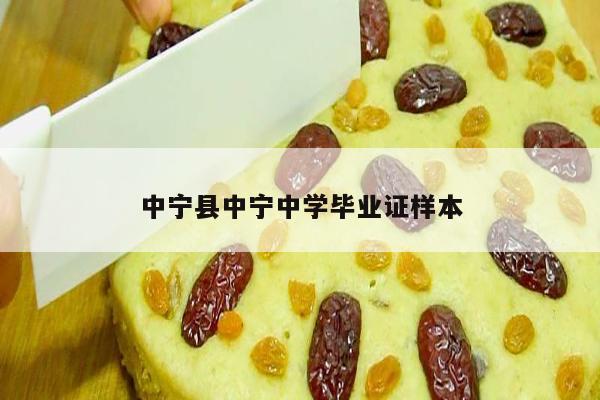中宁县中宁中学毕业证样本