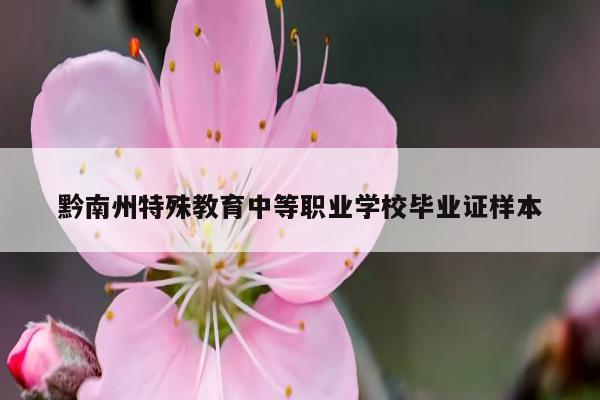 黔南州特殊教育中等职业学校毕业证样本