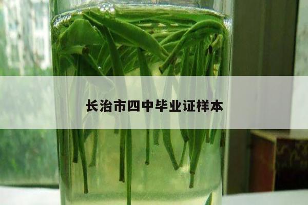 长治市四中毕业证样本