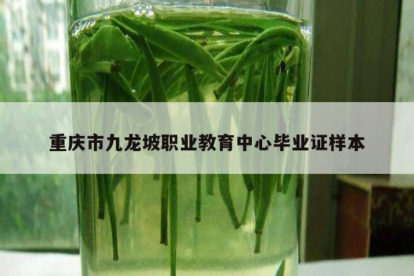 重庆市九龙坡职业教育中心毕业证样本