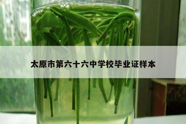 太原市第六十六中学校毕业证样本