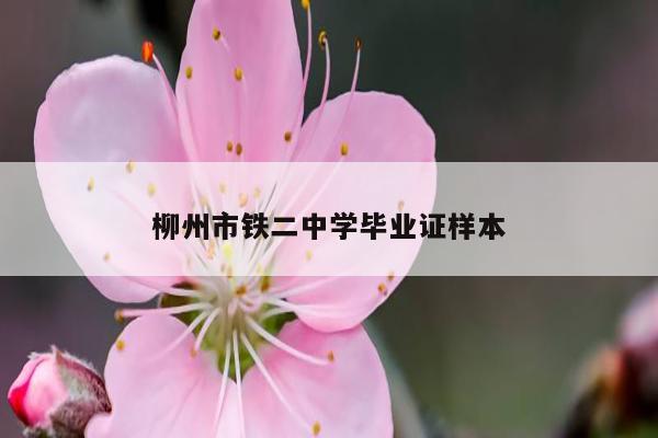 柳州市铁二中学毕业证样本