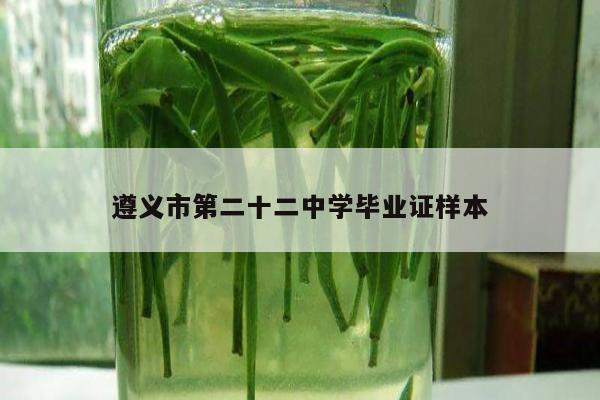 遵义市第二十二中学毕业证样本