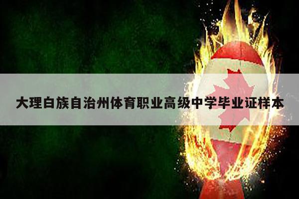 大理白族自治州体育职业高级中学毕业证样本