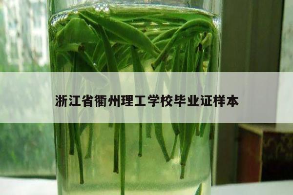 浙江省衢州理工学校毕业证样本