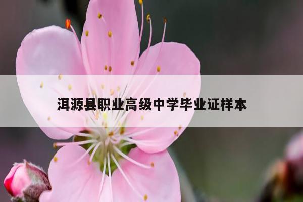 洱源县职业高级中学毕业证样本