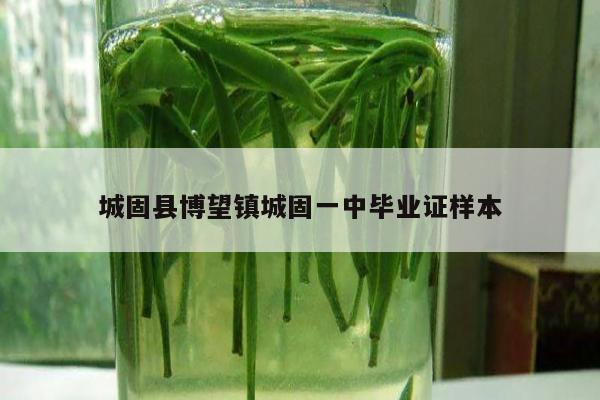 城固县博望镇城固一中毕业证样本