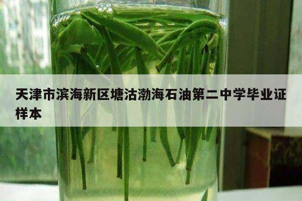 天津市滨海新区塘沽渤海石油第二中学毕业证样本