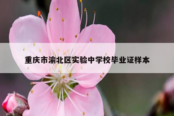 重庆市渝北区实验中学校毕业证样本