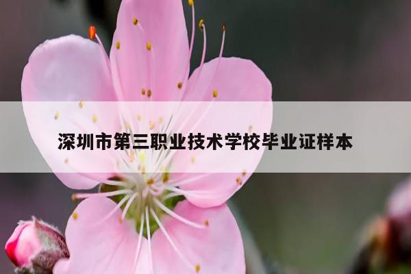 深圳市第三职业技术学校毕业证样本