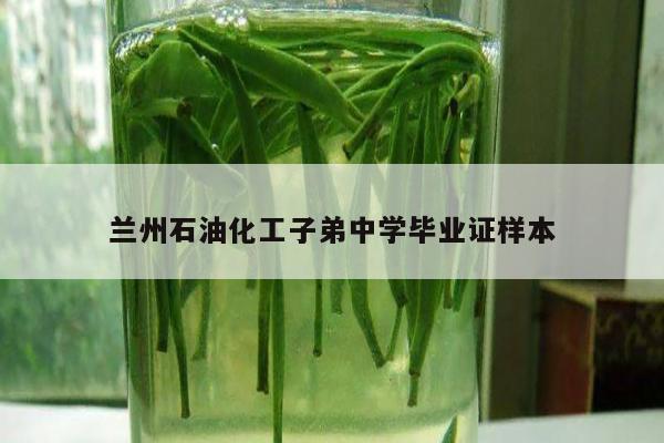 兰州石油化工子弟中学毕业证样本